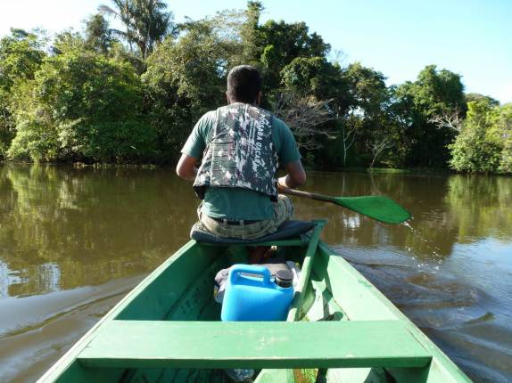 Nosso guia nos leva para um passeio na floresta alagada na Reserva de Mamirauá, perto de Tefé, no Amazonas